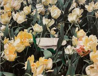 New Thank You Card Collaboration with Junko Yoda