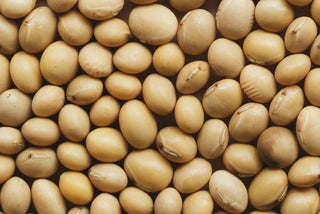 J-Beauty Ingredient Spotlight: Soy