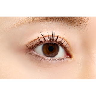 3650 Waterproof Mascara (Comb Type)